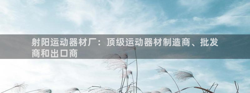 意昂体育3注册：射阳运动器材厂：顶级运动器材制造商、
