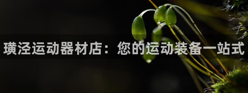 意昂3娱乐代理怎么样：璜泾运动器材店：您的运动装备一