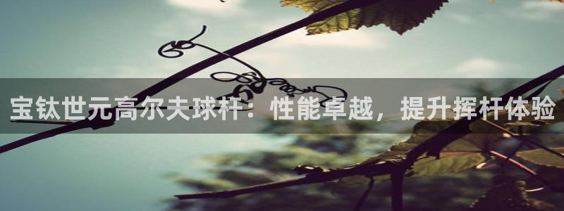 意昂体育3平台注册：宝钛世元高尔夫球杆：性能卓越，提