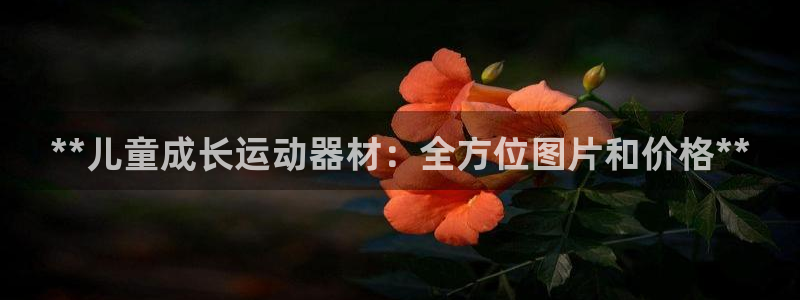 意昂体育3开户：**儿童成长运动器材：全方位图片和价