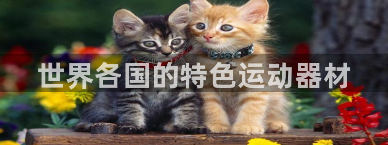 注册意昂3：世界各国的特色运动器材