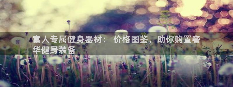 意昂3官方：富人专属健身器材： 价格图鉴，助你购置奢