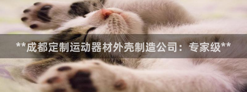 意昂3娱乐是那个系列的台子：**成都定制运动器材外壳