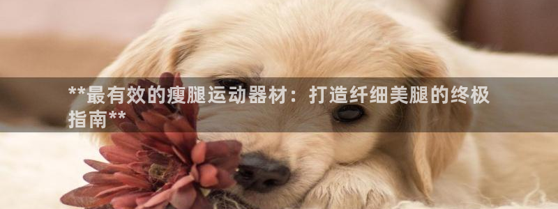 意昂3集团：**最有效的瘦腿运动器材：打造纤细美腿的