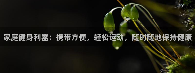 意昂体育3娱乐：家庭健身利器：携带方便，轻松运动，随