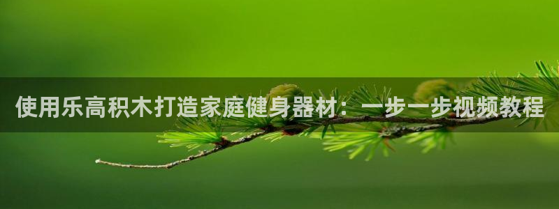 意昂3新能源：使用乐高积木打造家庭健身器材：一步一步