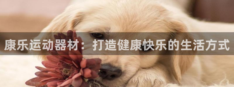 意昂3娱乐代理怎么样：康乐运动器材：打造健康快乐的生