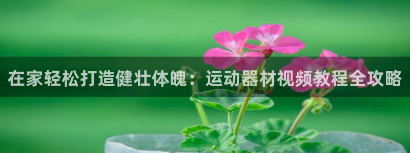 意昂3集团官网网址：在家轻松打造健壮体魄：运动器材视