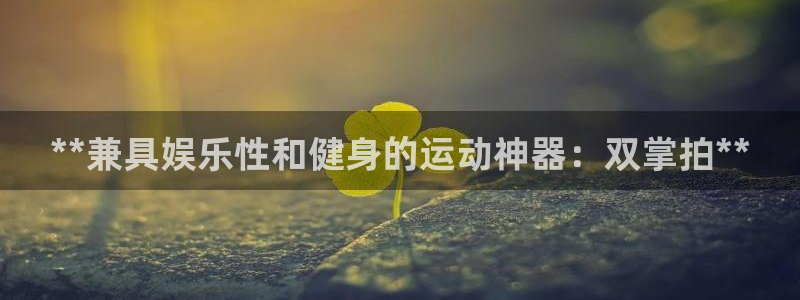 意昂3科技：**兼具娱乐性和健身的运动神器：双掌拍*
