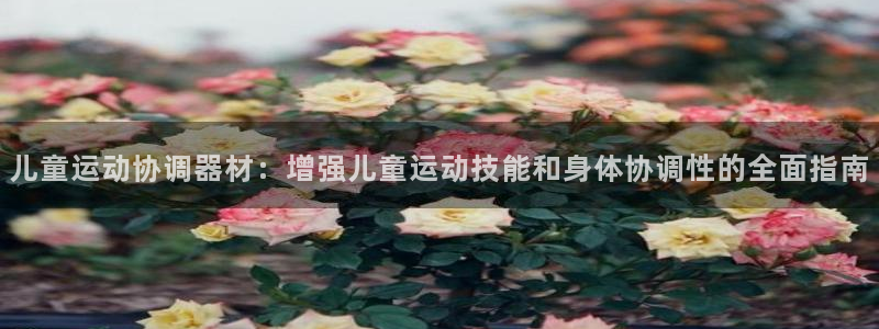 意昂体育3平台：儿童运动协调器材：增强儿童运动技能和