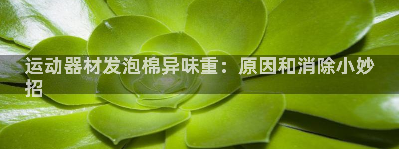 意昂体育3招商电话号码是多少：运动器材发泡棉异味重：