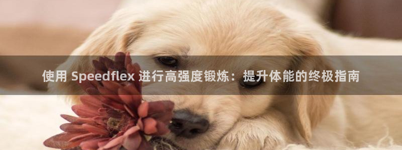意昂3神州：使用 Speedflex 进行高强度锻炼