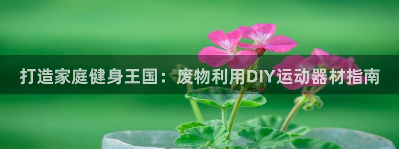 意昂体育3平台注册流程视频：打造家庭健身王国：废物利