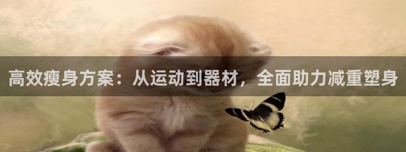 意昂体育3联系电话