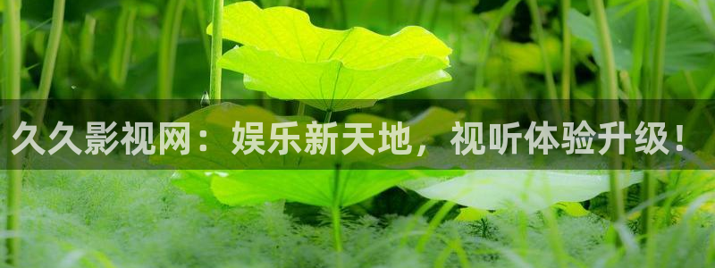 迅播影院官网：久久影视网：娱乐新天地，视听体验升级！