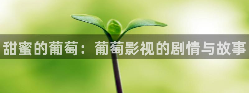 迅播影院在线观看：甜蜜的葡萄：葡萄影视的剧情与故事