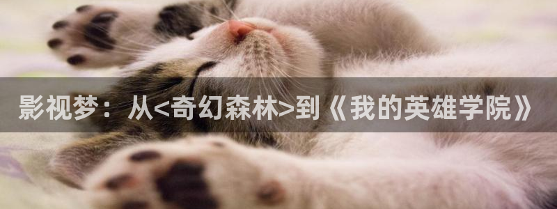 2tucc迅播影院：影视梦：从<奇幻森林>到《我的英雄学院》