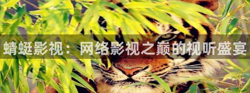 迅播影院迅播成人理论片：蜻蜓影视：网络影视之巅的视听盛宴
