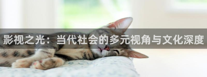 迅播影院电视剧：影视之光：当代社会的多元视角与文化深度